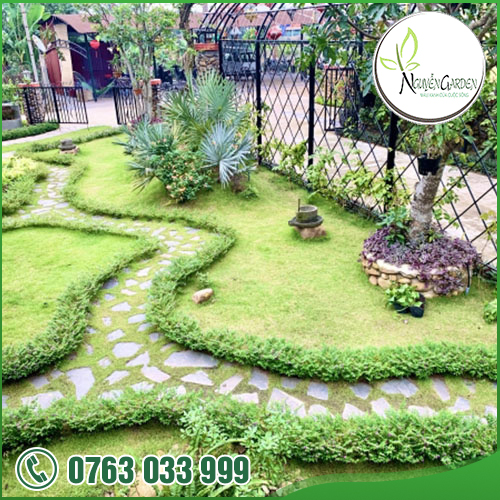 Homestay Phong Nha